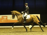 Expression 201113_2218